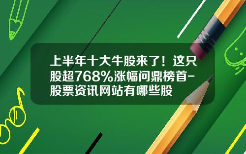 上半年十大牛股来了！这只股超768%涨幅问鼎榜首-股票资讯网站有哪些股