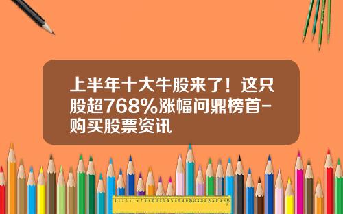 上半年十大牛股来了！这只股超768%涨幅问鼎榜首-购买股票资讯