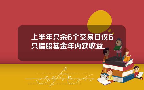 上半年只余6个交易日仅6只偏股基金年内获收益.