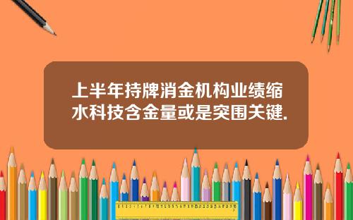 上半年持牌消金机构业绩缩水科技含金量或是突围关键.