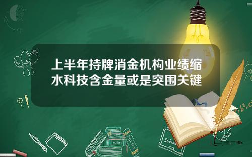 上半年持牌消金机构业绩缩水科技含金量或是突围关键