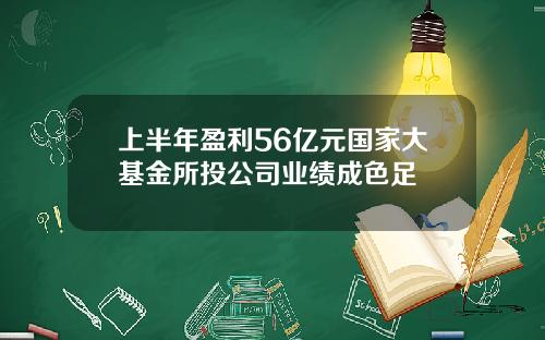 上半年盈利56亿元国家大基金所投公司业绩成色足