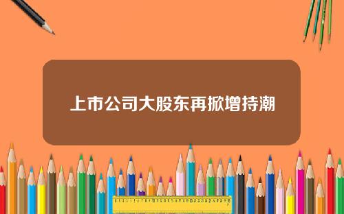 上市公司大股东再掀增持潮
