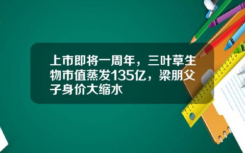 上市即将一周年，三叶草生物市值蒸发135亿，梁朋父子身价大缩水