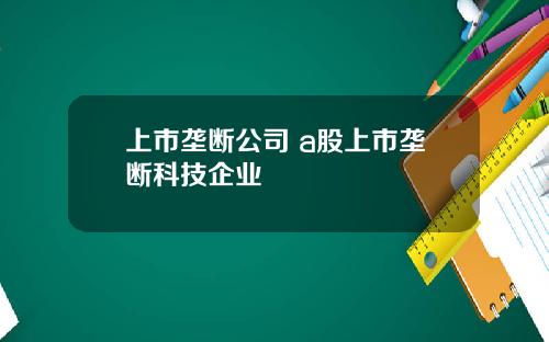 上市垄断公司 a股上市垄断科技企业