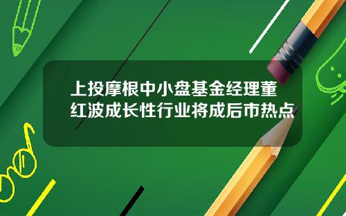 上投摩根中小盘基金经理董红波成长性行业将成后市热点
