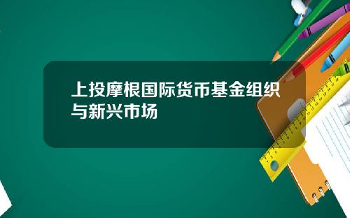 上投摩根国际货币基金组织与新兴市场