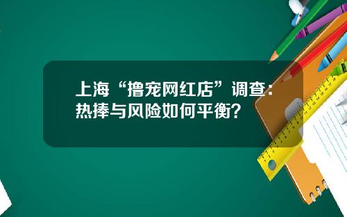 上海“撸宠网红店”调查：热捧与风险如何平衡？