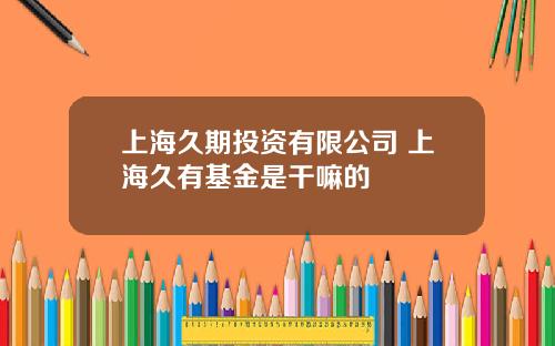上海久期投资有限公司 上海久有基金是干嘛的