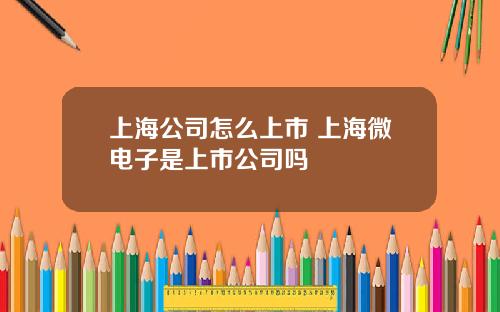 上海公司怎么上市 上海微电子是上市公司吗