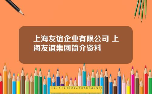 上海友谊企业有限公司 上海友谊集团简介资料
