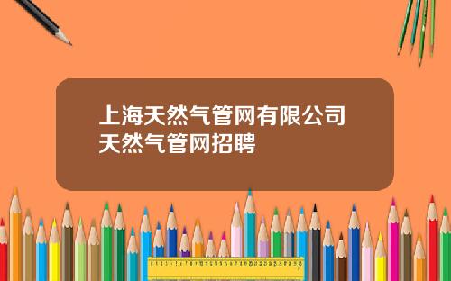 上海天然气管网有限公司 天然气管网招聘
