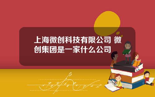 上海微创科技有限公司 微创集团是一家什么公司
