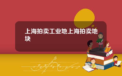 上海拍卖工业地上海拍卖地块