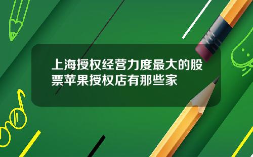 上海授权经营力度最大的股票苹果授权店有那些家
