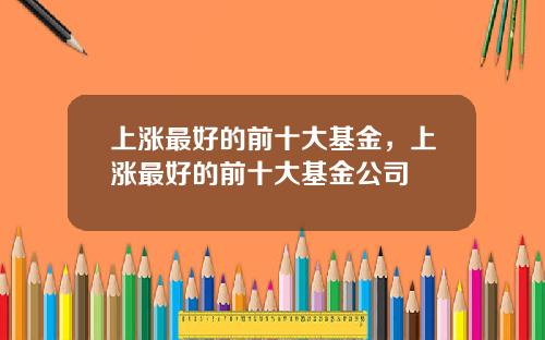 上涨最好的前十大基金，上涨最好的前十大基金公司