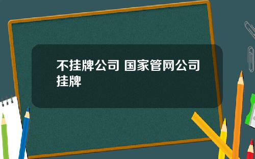 不挂牌公司 国家管网公司挂牌