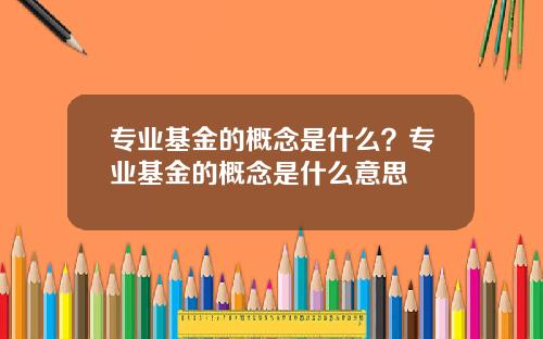 专业基金的概念是什么?专业基金的概念是什么意思