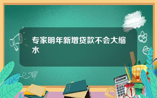 专家明年新增贷款不会大缩水