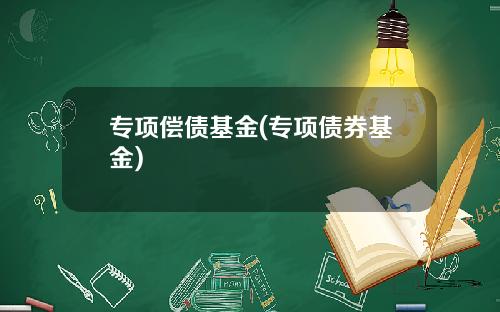 专项偿债基金(专项债券基金)
