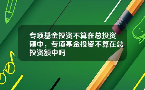 专项基金投资不算在总投资额中，专项基金投资不算在总投资额中吗