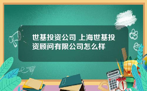 世基投资公司 上海世基投资顾问有限公司怎么样