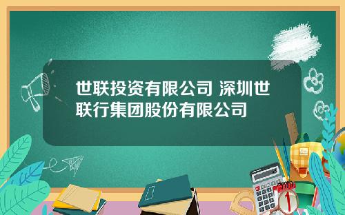 世联投资有限公司 深圳世联行集团股份有限公司