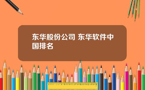 东华股份公司 东华软件中国排名