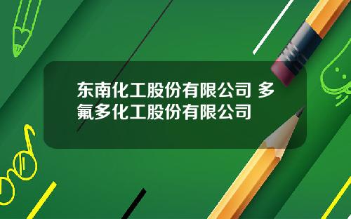 东南化工股份有限公司 多氟多化工股份有限公司