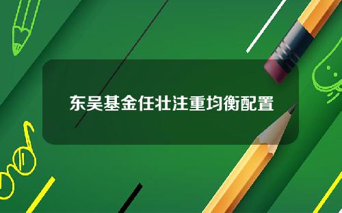 东吴基金任壮注重均衡配置