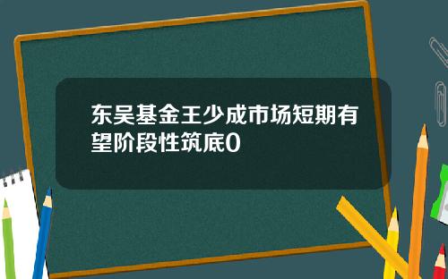 东吴基金王少成市场短期有望阶段性筑底0