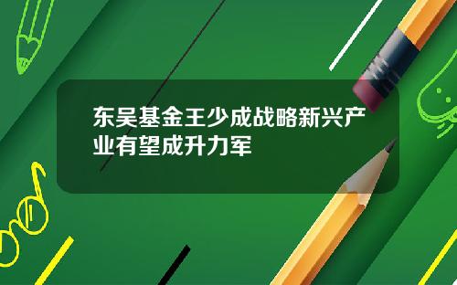 东吴基金王少成战略新兴产业有望成升力军