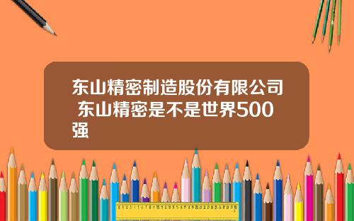 东山精密制造股份有限公司 东山精密是不是世界500强