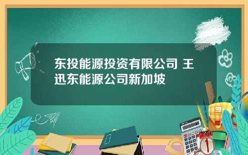 东投能源投资有限公司 王迅东能源公司新加坡