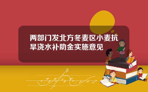 两部门发北方冬麦区小麦抗旱浇水补助金实施意见