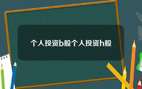 个人投资b股个人投资h股