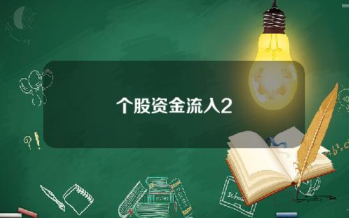 个股资金流入2