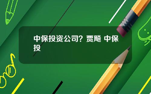 中保投资公司?贾飚 中保投