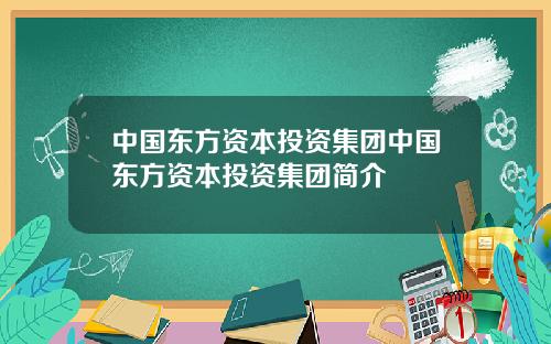 中国东方资本投资集团中国东方资本投资集团简介