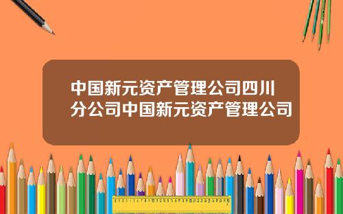 中国新元资产管理公司四川分公司中国新元资产管理公司