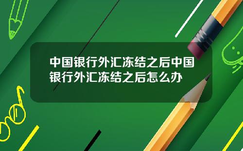 中国银行外汇冻结之后中国银行外汇冻结之后怎么办