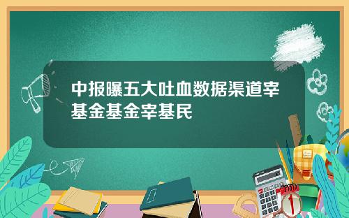 中报曝五大吐血数据渠道宰基金基金宰基民