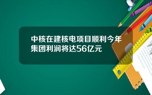 中核在建核电项目顺利今年集团利润将达56亿元
