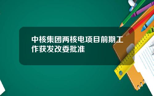 中核集团两核电项目前期工作获发改委批准