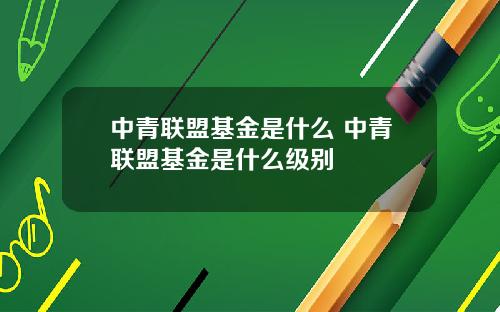 中青联盟基金是什么 中青联盟基金是什么级别