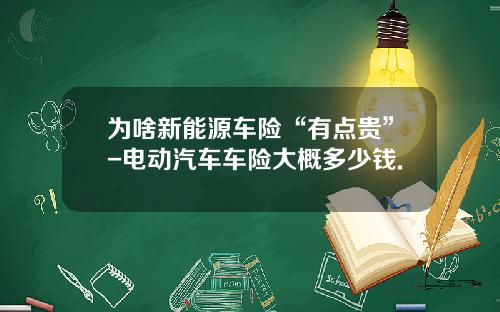 为啥新能源车险“有点贵”-电动汽车车险大概多少钱.
