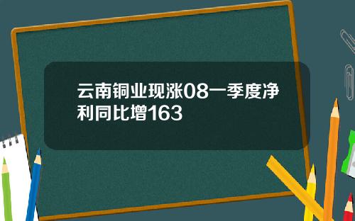 云南铜业现涨08一季度净利同比增163