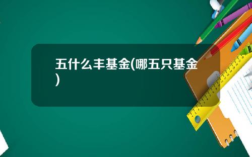 五什么丰基金(哪五只基金)