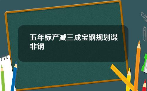 五年标产减三成宝钢规划谋非钢