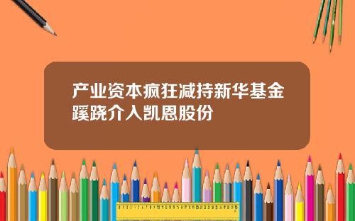 产业资本疯狂减持新华基金蹊跷介入凯恩股份